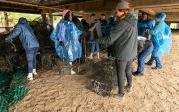 Students and staff look through oyster cages.