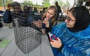 ODU students and faculty work on oyster cages.