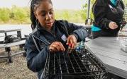 A woman works on an oyster cage.